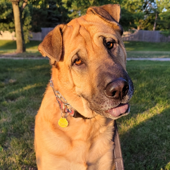 Welcome to my closet! - Picture 2 of 16